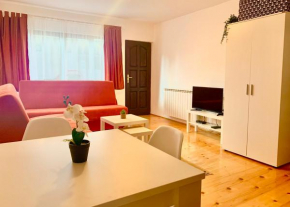 Žabljak Center Apartment